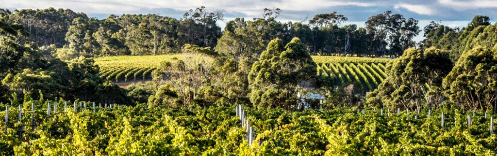 margaret river wineries