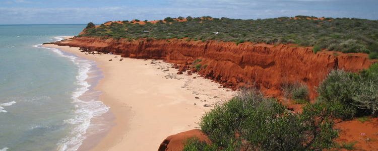 Shark Bay